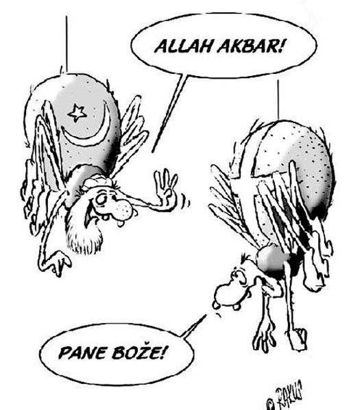 Soubor:Muslimský pavouk.jpg