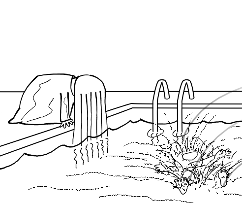 Weepy-pisc.png