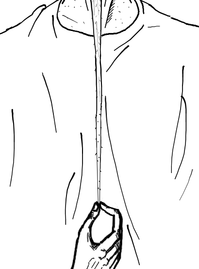 Weepy9.png