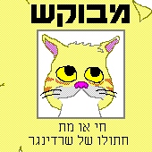 Cat.gif