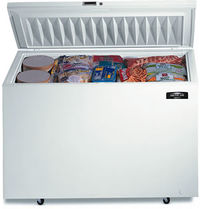 Freezer.jpg
