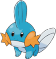 A Mudkip.